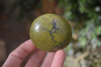 Polished Large Green Opal Standing Free Forms x 12 From Madagascar