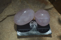 Polished Gemmy Pink Rose Quartz Palm Stones  x 12 From Madagascar - Toprock Gemstones and Minerals 