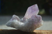 Natural Jacaranda Amethyst Clusters  x 3 From Mumbwa, Zambia - Toprock Gemstones and Minerals 