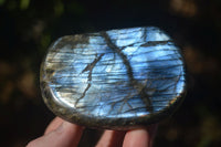 Polished Labradorite Standing Free Forms With Intense Full Face Flash  x 6 From Tulear, Madagascar - Toprock Gemstones and Minerals 