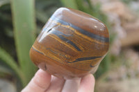 Polished Golden Tigers Eye Free Forms x 3 From Prieska, Northern Cape