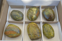 Polished Green Opal Standing Free Forms  x 6 From Madagascar