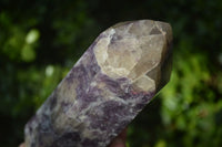 Polished Purple Lepidolite Points  x 2 From Madagascar