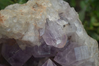 Natural Jacaranda Amethyst Cluster x 1 From Mumbwa, Zambia - TopRock