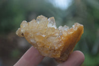 Natural Golden Limonite / Lemonite Quartz Clusters  x 12 From Zambia - TopRock