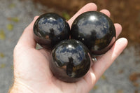 Polished Pitch Black Basalt Spheres  x 5 From Madagascar - TopRock