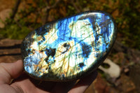 Polished Labradorite Standing Free Forms With Intense Blue & Gold Flash x 2 From Sakoany, Madagascar - TopRock