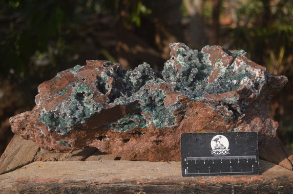 Natural Drusy Quartz Coated Malachite On Red Copper Dolomite  x 1 From Likasi, Congo - Toprock Gemstones and Minerals 