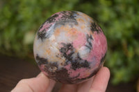 Polished  Pink & Black Rhodonite Spheres x 2 From Madagascar