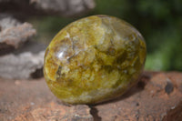 Polished Large Green Opal Standing Free Forms x 12 From Madagascar