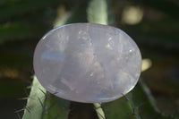 Polished Gemmy Rose Quartz Palm Stones  x 20 From Ambatondrazaka, Madagascar - Toprock Gemstones and Minerals 