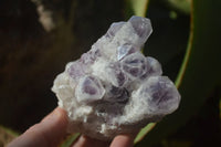 Natural Sugar Amethyst Clusters  x 4 From Solwezi, Zambia