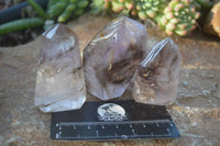 Polished Large Smokey Window Quartz Crystals x 6 From Ankazobe, Madagascar