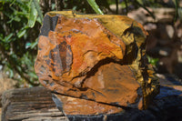 Natural Golden Blue Tigers Eye Specimens  x 2 From Prieska, South Africa - TopRock