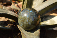 Polished Labradorite Spheres With Nice Subtle Flash x 4 From Tulear, Madagascar - TopRock