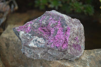 Natural Pink Salrose Cobaltion Dolomite Specimens  x 6 From Congo - Toprock Gemstones and Minerals 