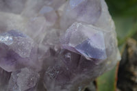 Natural Jacaranda Amethyst Clusters x 2 From Mumbwa, Zambia - TopRock