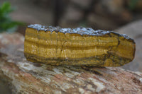 Natural Golden Blue Tigers Eye Specimens  x 2 From Prieska, South Africa - TopRock