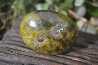 Polished Large Green Opal Galet - Palm Stone x 12 From Madagascar