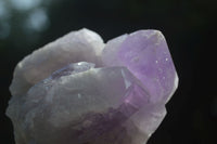 Natural Jacaranda Amethyst Clusters  x 3 From Mumbwa, Zambia - Toprock Gemstones and Minerals 