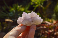 Natural Small Spirit Amethyst Quartz Clusters & Crystals  x 88 From Boekenhouthoek, South Africa - TopRock