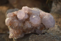 Natural Spirit Amethyst Quartz Clusters x 4 From Boekenhouthoek, South Africa