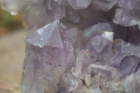 Natural Jacaranda Amethyst Cluster x 1 From Mumbwa, Zambia - TopRock