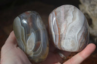 Polished River Agate Free Forms  x 6 From Sashe River, Zimbabwe - Toprock Gemstones and Minerals 