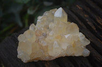 Natural Golden Limonite / Lemonite Quartz Clusters  x 12 From Zambia - TopRock