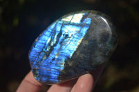 Polished Labradorite Standing Free Forms With Intense Full Face Flash  x 6 From Tulear, Madagascar - Toprock Gemstones and Minerals 