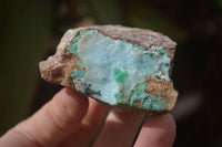 Natural Drusy Coated Chrysocolla Dolomite Specimens x 6 From Congo