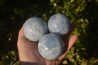 Polished Blue Calcite Spheres x 4 From Ihadilalana, Madagascar