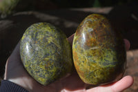 Polished Green Opal Standing Free Forms  x 6 From Madagascar