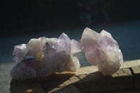 Natural Jacaranda Amethyst Clusters  x 3 From Zambia - Toprock Gemstones and Minerals 