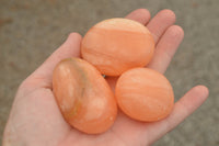 Polished Small Orange Twist Calcite Gallets / Palm Stones - sold per 1 kg - From Maevantanana, Madagascar - TopRock