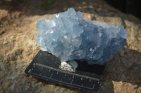 Natural Blue Celestite Crystal Specimens  x 3 From Madagascar - Toprock Gemstones and Minerals 