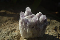 Natural Sugar Amethyst Clusters  x 4 From Zambia