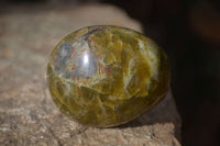 Polished Large Green Opal Standing Free Forms x 12 From Madagascar