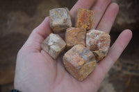 Natural Limonite Iron Pseudomorph Cubic Crystals  x 35 From Lydenburg, South Africa