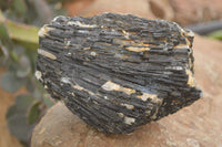 Natural Black Tourmaline Schorl in Matrix Specimens  x 5 From Zambia