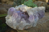 Natural Jacaranda Amethyst Cluster x 1 From Zambia - Toprock Gemstones and Minerals 