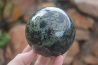 Polished Stromatolite / Kambamba Jasper Spheres  x 3 From Madagascar - Toprock Gemstones and Minerals 