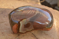 Polished One Side Polished Polychrome Jasper Standing Free Form  x 1 From Madagascar - Toprock Gemstones and Minerals 