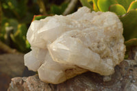 Natural Medium to Larger Lovely White Quartz Clusters x 3 From Madagascar - TopRock