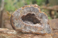 Natural Crystal Centred Amethyst Geode Specimens  x 4 From Zululand, South Africa - TopRock