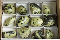 Polished Leopard Stone Standing Free Forms  x 12 From Nyanga & Shamva, Zimbabwe - TopRock