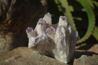 Natural Sugar Amethyst Clusters  x 4 From Solwezi, Zambia