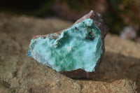 Natural Drusy Coated Chrysocolla Dolomite Specimens x 6 From Congo