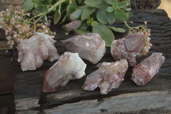 Natural Red Hematoid Quartz Specimens x 6 From Karoi, Zimbabwe