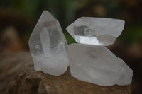 Natural Single Etched Clear Quartz Crystals  x 35 From Mpika, Zambia - Toprock Gemstones and Minerals 